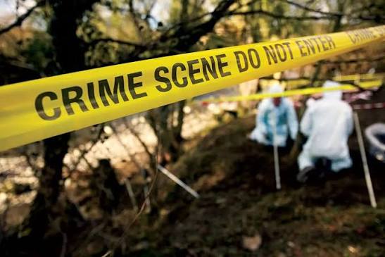 Escalating Ekurhuleni Serial Crime Probe as Ninth Body Found in Dawn Park