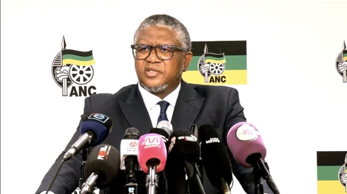 Fikile Mbalula - Business Insider