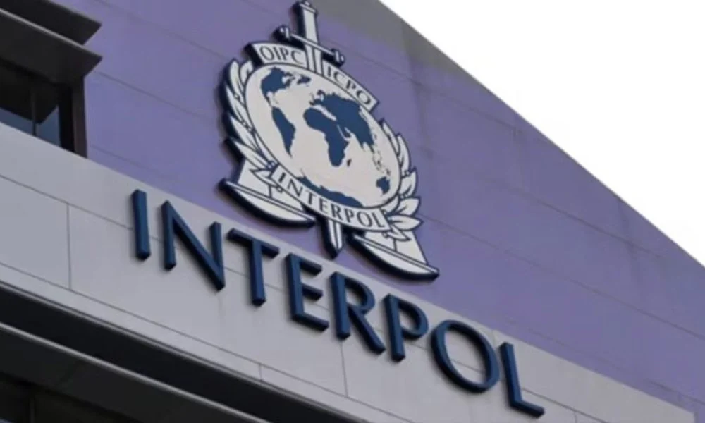 INTERPOL’s Operation Jackal IV Strikes West African Crime Networks