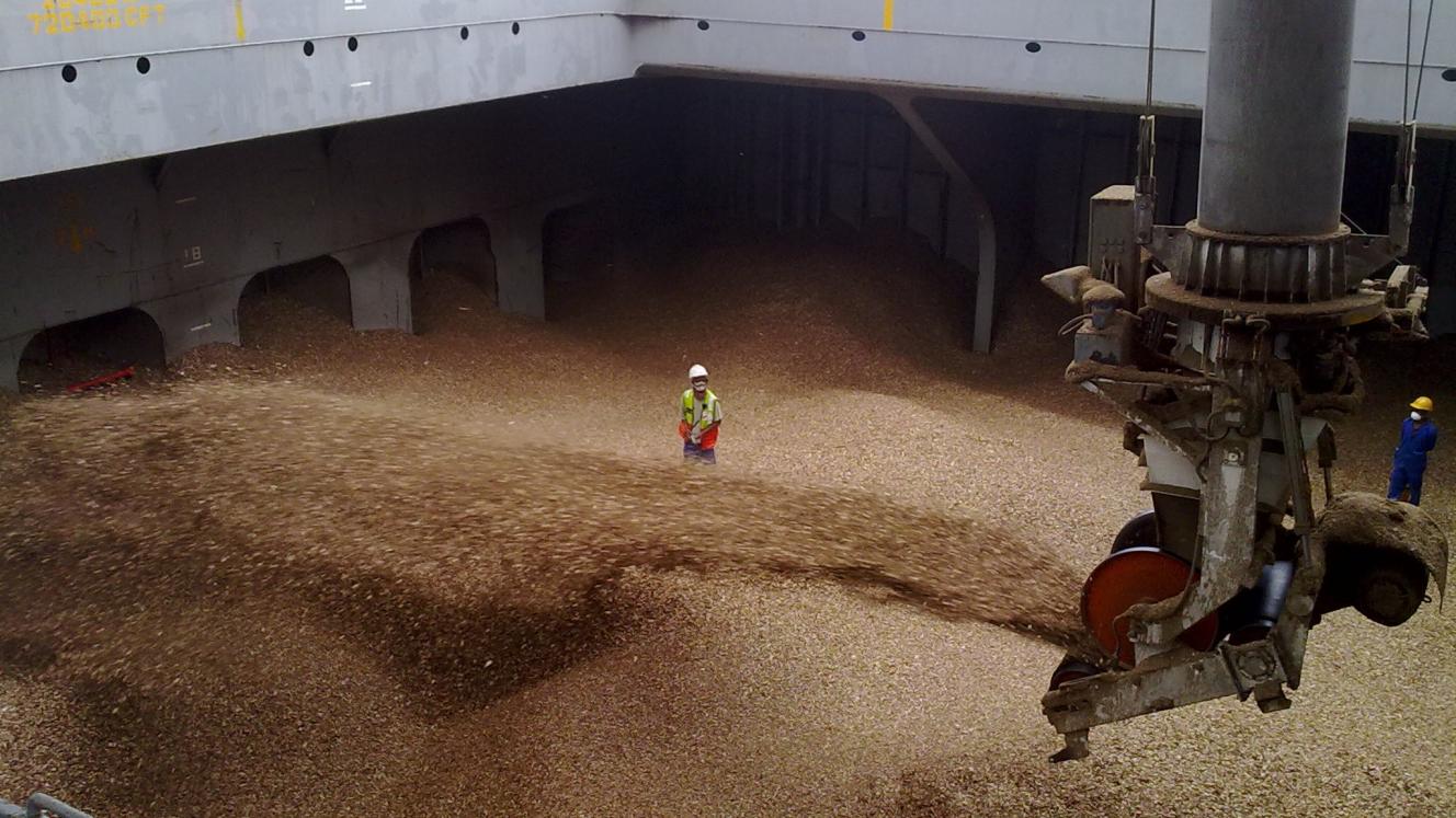 Global War and R1,200 Fertilizer Bags: Why the Developing World Must Choose Food and Land Over AI Hype