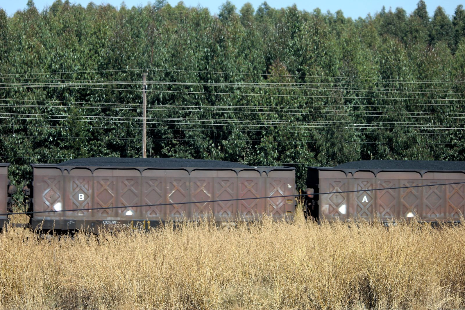 Photo: JMK / Wikimedia Commons