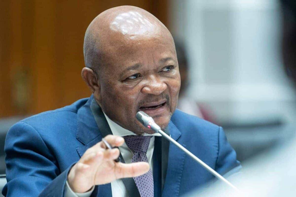 Suspended Police Minister Senzo Mchunu.
